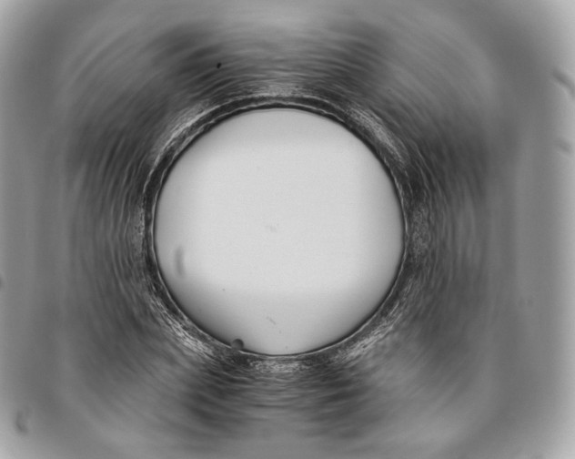 X0000096160831200802081432