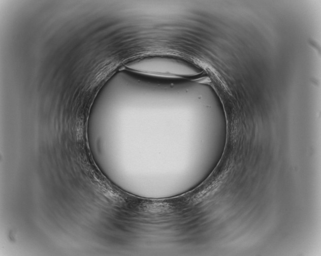 X0000096160833200802081432