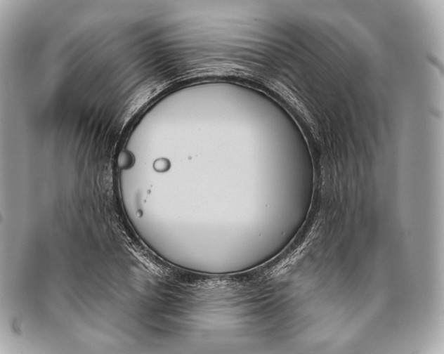 X0000096160834200802081432