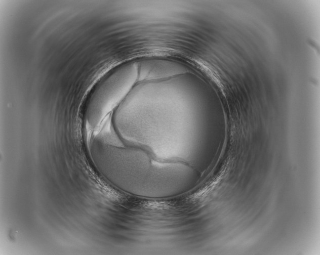 X0000096160835200802081432