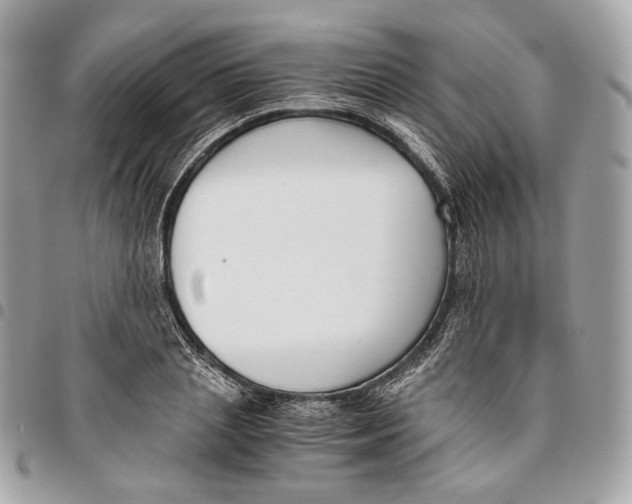 X0000096160837200802081432