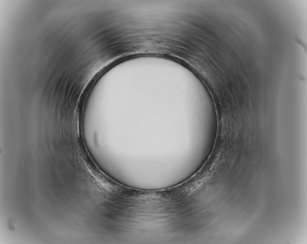 X0000096160838200802081432