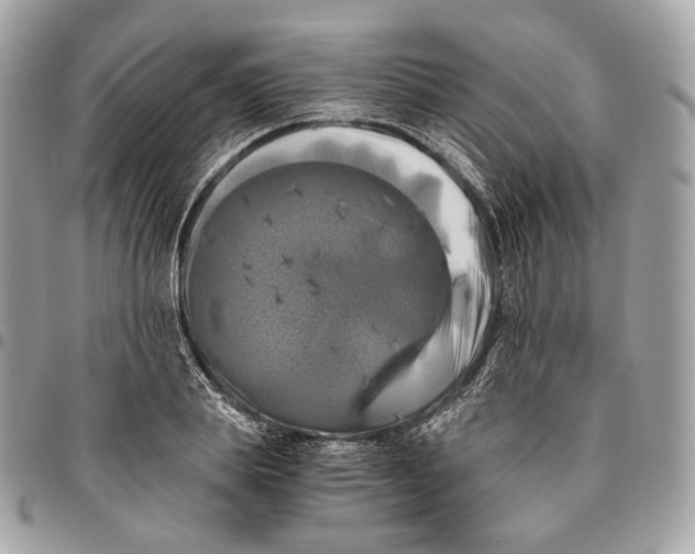 X0000096160839200802081432