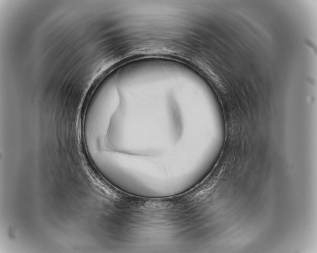 X0000096160840200802081432