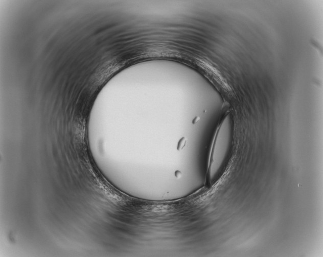 X0000096160841200802081432