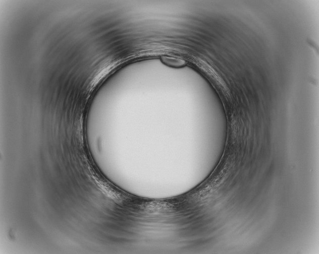 X0000096160842200802081432