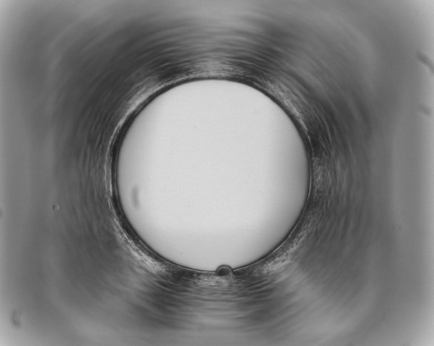 X0000096160843200802081432