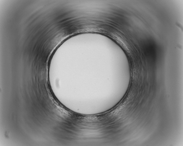 X0000096160844200802081432