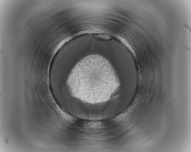 X0000096160845200802081432