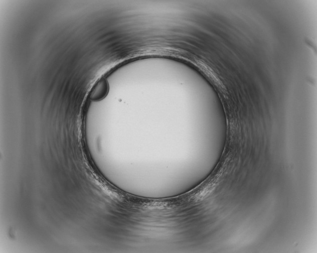 X0000096160846200802081432