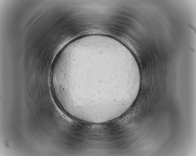 X0000096160847200802081432