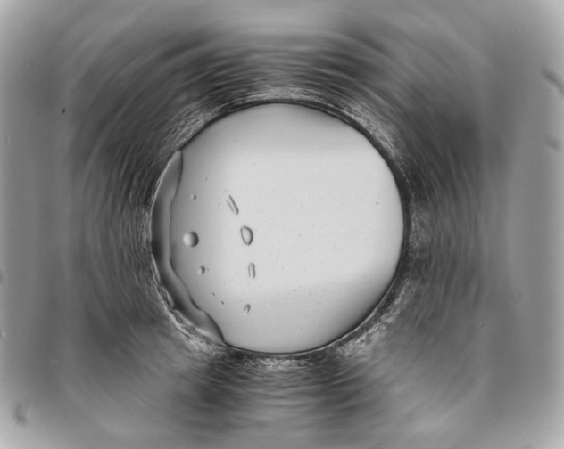 X0000096160849200802081432