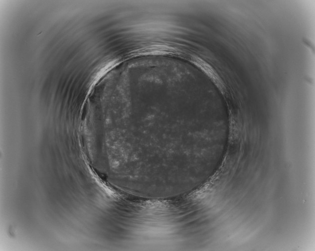 X0000096160850200802081432