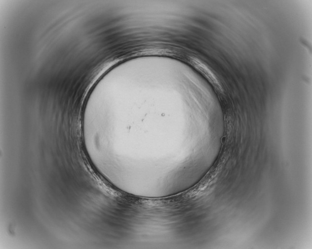 X0000096160852200802081432