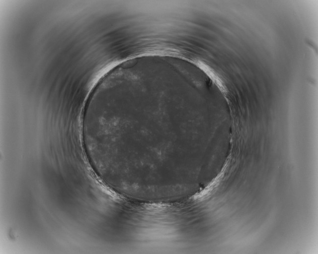 X0000096160854200802081432