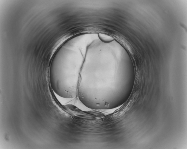 X0000096160855200802081432