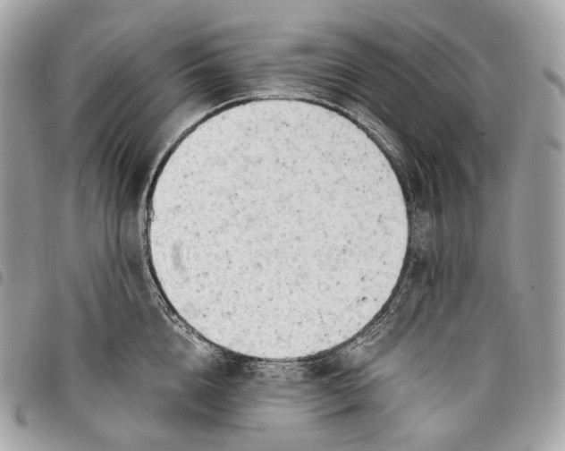 X0000096160856200802081432