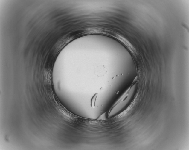 X0000096160857200802081432