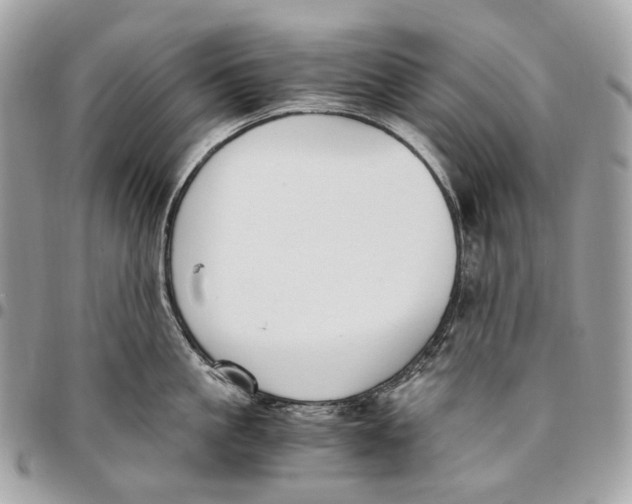 X0000096160861200802081432