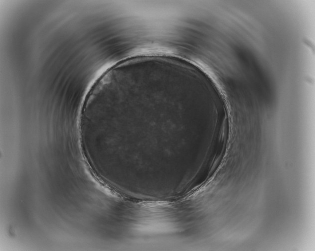 X0000096160864200802081432