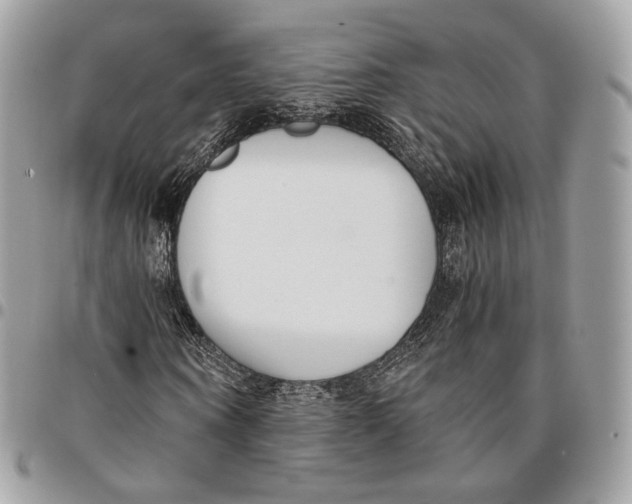 X0000096160866200802081432