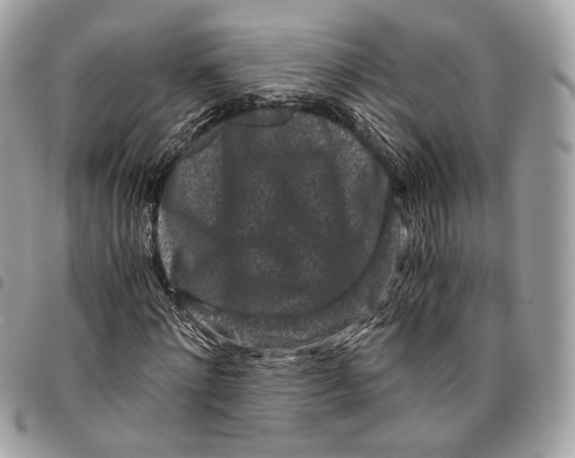 X0000096160868200802081432