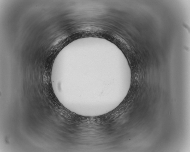 X0000096160869200802081432