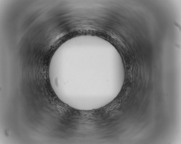 X0000096160870200802081432