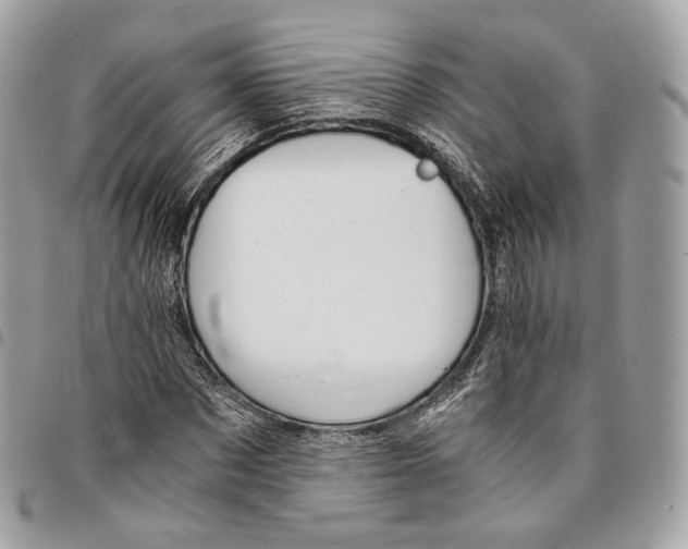 X0000096160873200802081432