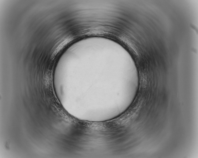 X0000096160874200802081432