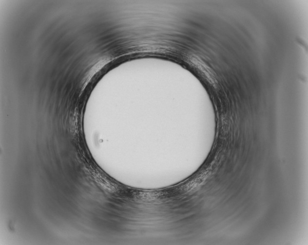 X0000096160875200802081432