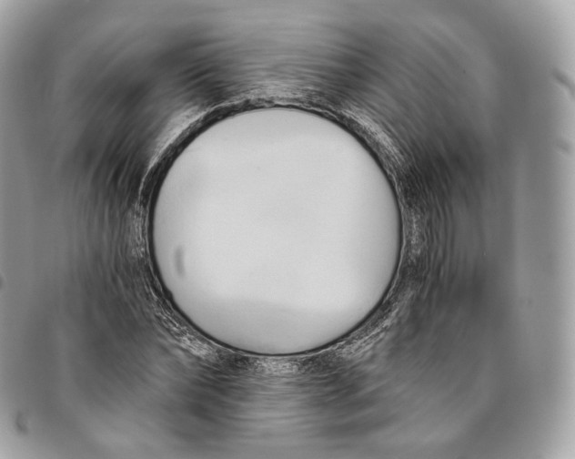 X0000096160878200802081431