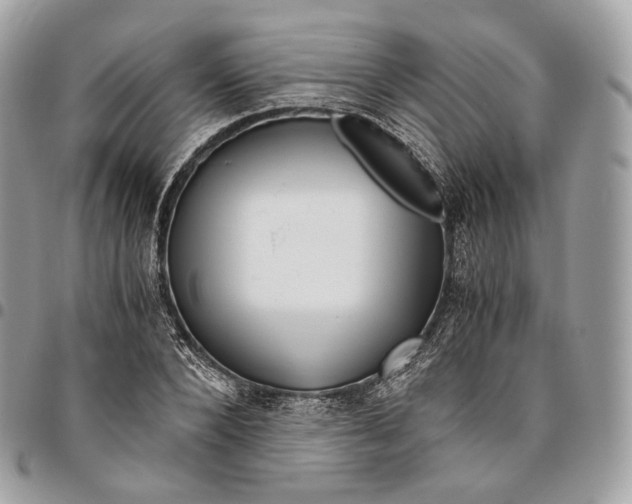 X0000096160880200802081431