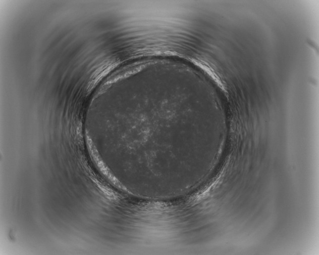 X0000096160881200802081431