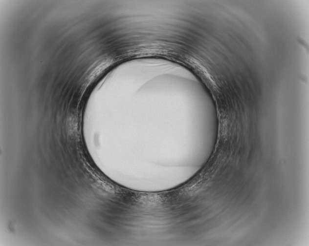 X0000096160882200802081431