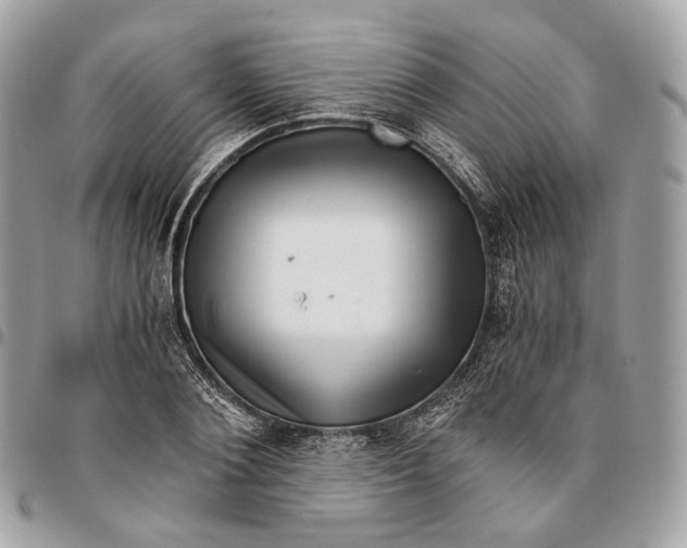 X0000096160884200802081431