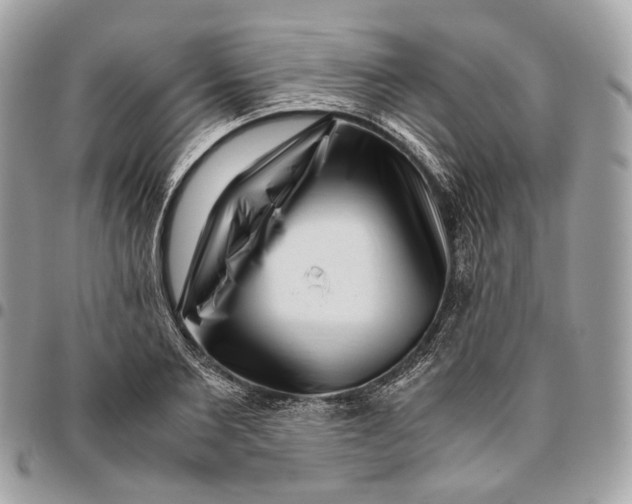 X0000096160885200802081431