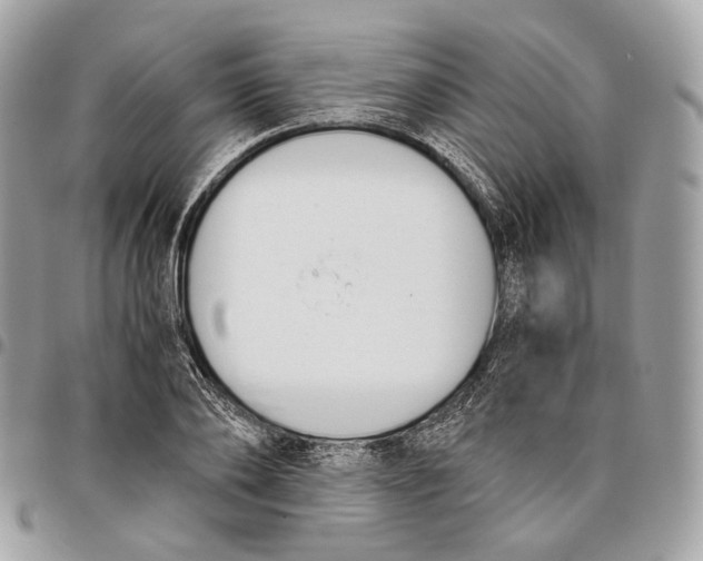 X0000096160886200802081431