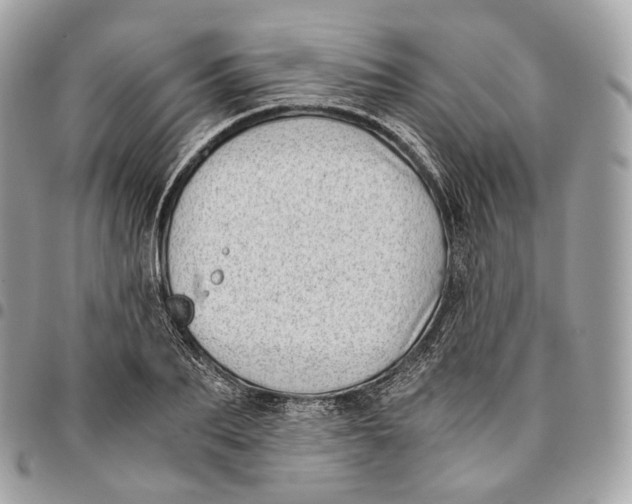 X0000096160887200802081431