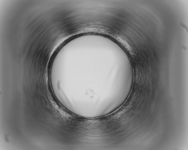 X0000096160888200802081431