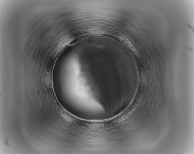 X0000096160889200802081431