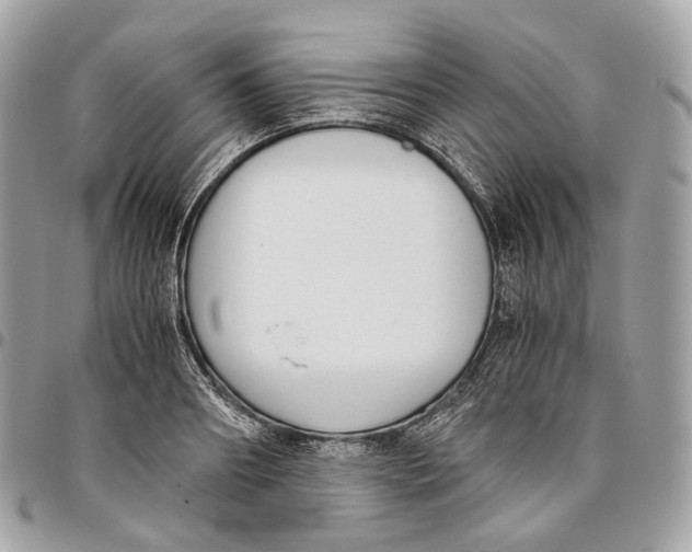 X0000096160890200802081431