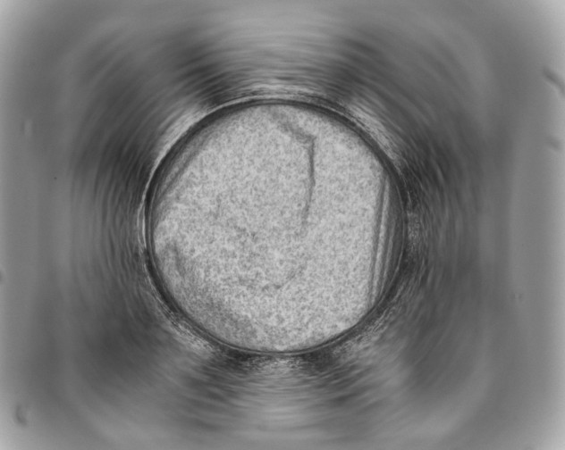 X0000096160891200802081431