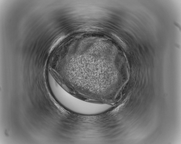 X0000096160893200802081431