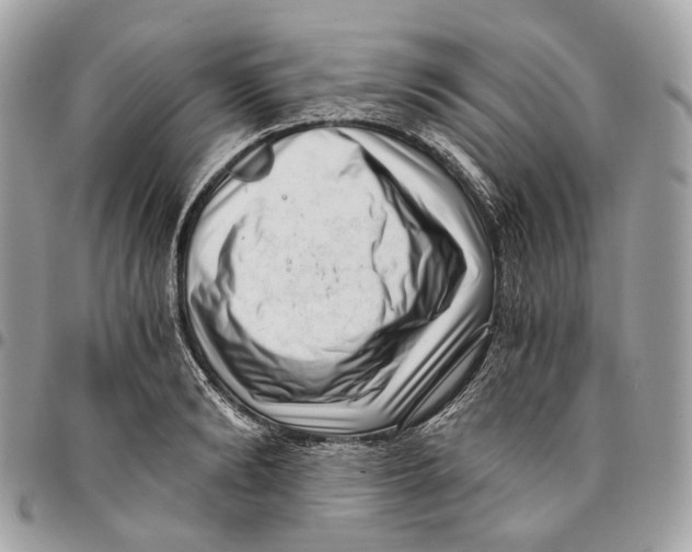 X0000096160894200802081431