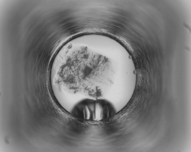 X0000096160895200802081431