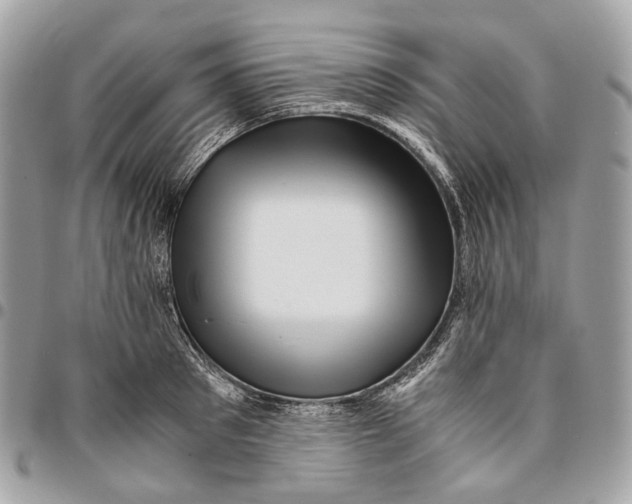 X0000096160897200802081431