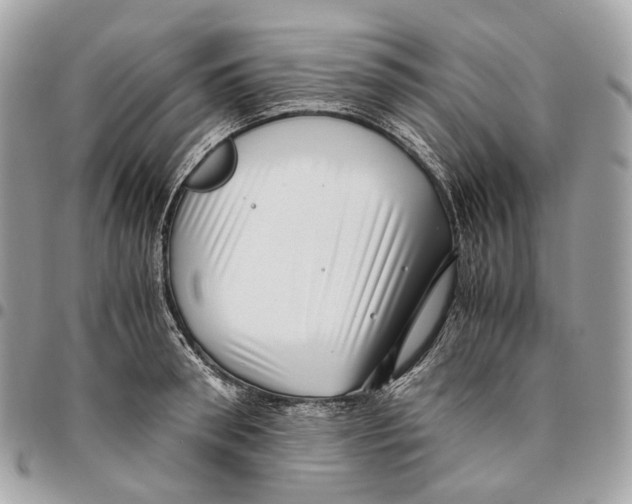 X0000096160898200802081431