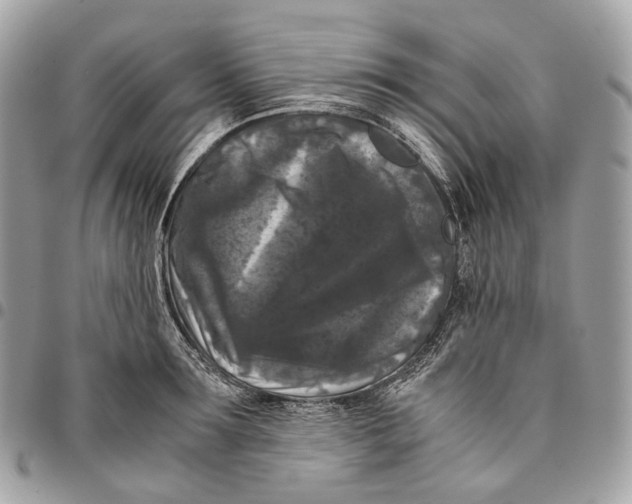 X0000096160899200802081431