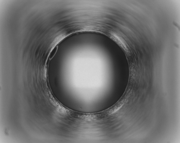 X0000096160900200802081431